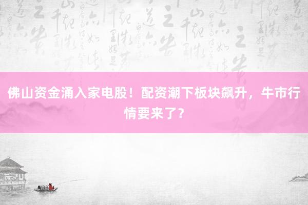 佛山资金涌入家电股！配资潮下板块飙升，牛市行情要来了？