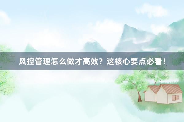 风控管理怎么做才高效?这核心要点必看!