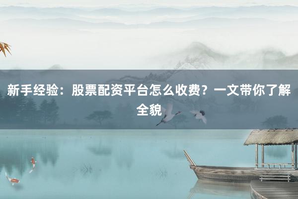 新手经验：股票配资平台怎么收费？一文带你了解全貌