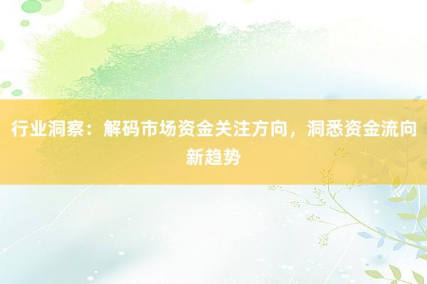 行业洞察：解码市场资金关注方向，洞悉资金流向新趋势